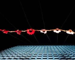 Vertical dance innovators BANDALOOP will open its newly expanded headquarters, BANDALOOP Studios, in West Oakland with a free community event, November 12.